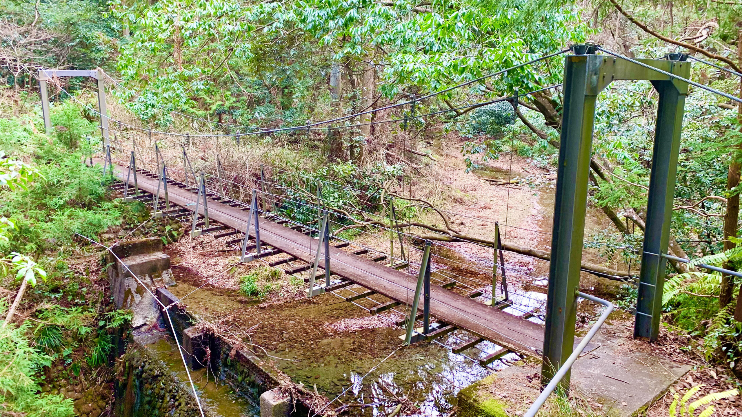 丹野池 山の置くにあるつり橋